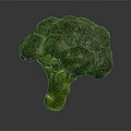 Fresh Vibrant Green Broccoli Vegetable Isolated On Dark Background For Healthy Meals