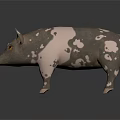 Realistic Standing Pig With Black And White Spots And Yellow Eyes On Dark Background