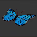 Modern Butterfly Colored Butterfly Tabby Butterfly Leaf Butterfly 3d model