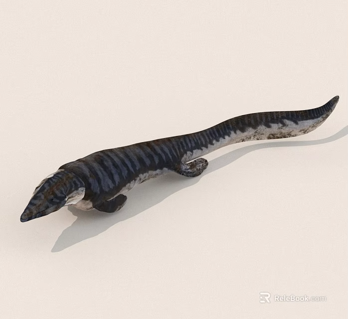 Detailed 3D Model of Slim Striped Aquatic Reptile With Black White Body Pattern 3d model 