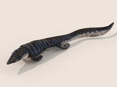 Detailed 3D Model of Slim Striped Aquatic Reptile With Black White Body Pattern 3d model