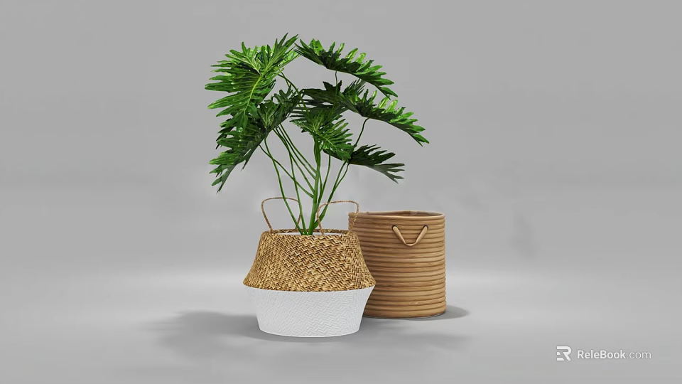 Lush Green Potted Plant in Wicker Container With White Base and Rattan Basket Indoor Decor 3d model 
