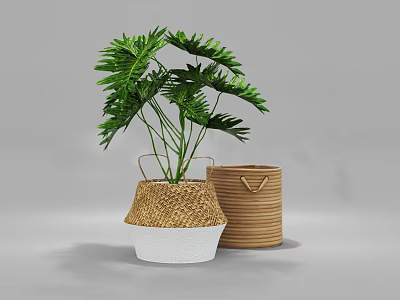 Lush Green Potted Plant in Wicker Container With White Base and Rattan Basket Indoor Decor 3d model