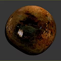 Spherical Plant Structure With Orange Brown Surface And Dark Green Patches On Dark Background