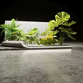 Modern Indoor Plant Display With Gray Platform And Green Large Leaf Plants