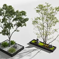 landscape tree big tree stone tree pool 3d model
