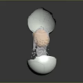 Broken White Eggshell With Shiny Delicate Transparent Sculptural Structure Inside 3d model