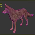 Realistic Coyote 3D Model Standing With Brown Fur Pointed Ears And Bushy Tail