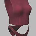Burgundy Sleeveless Crop Top And High Waist Briefs Fitted Fashionable Women's Clothing Set