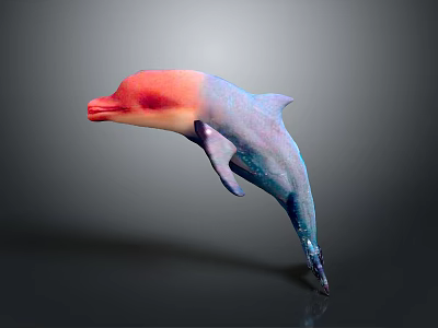 Vibrant Pink And Blue Gradient Dolphin Jumping In Mid Air With Smooth Surface Texture 3d model