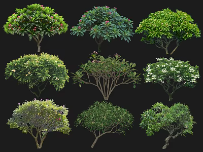 Various Types of Shrubs With Diverse Leaves and Flower Blooms on Black Background 3d model