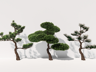 modern pine plant arbor 3d model