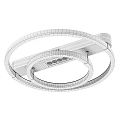 Modern Double Circular Ring Ceiling Light Fixture 3d model
