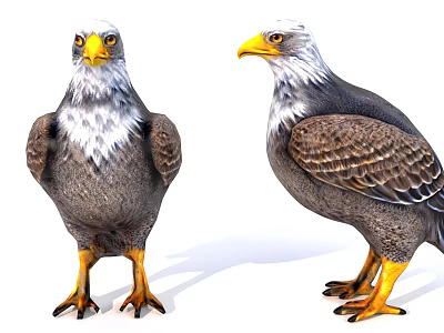 Two Majestic Eagles Standing With White Heads Brown Feathers And Yellow Beaks 3d model