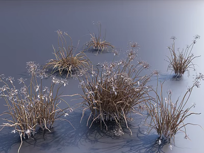Dried Grass and White Flowers Growing on Moist Surface with Gray Background and Cast Shadows 3d model