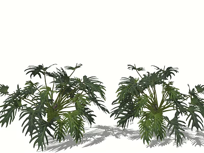 Vibrant Green Leafy Plants with Lush Tropical Foliage for Indoor Decor 3d model