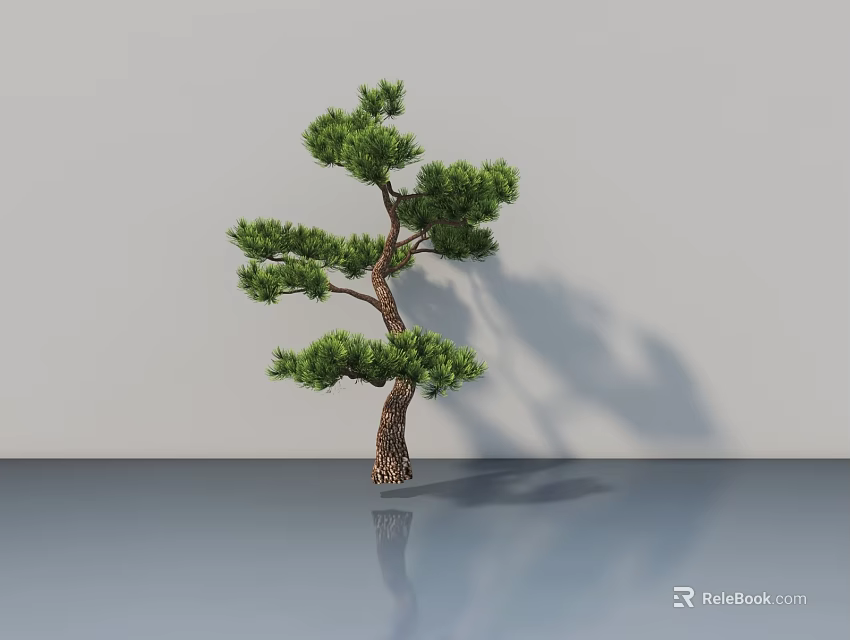 Curved Trunk Arbor With Lush Green Foliage On Gray Wall And Floor With Reflection 3d model 