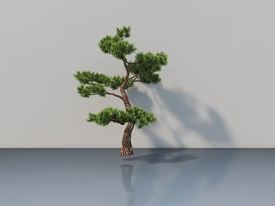 Curved Trunk Arbor With Lush Green Foliage On Gray Wall And Floor With Reflection 3d model