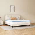 Comfortable Beige Mattress With Blue Edge And Padded Headboard Pillows Nightstand Plant And Window Curtains