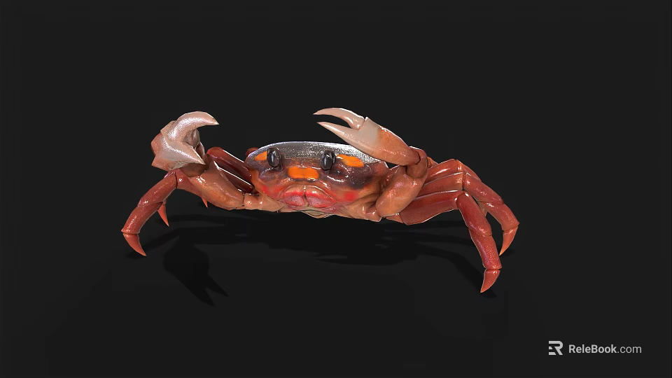 Realistic Red Crab Model With Claws Detailed Legs And Black Background 3d model 