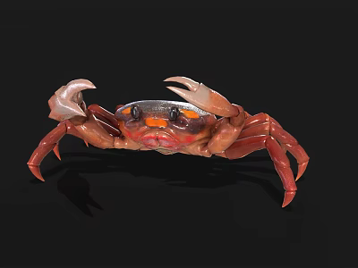 Crab Halloween Crab PBR Material Terrestrial Crab Animal Arthropods River Crab Pliers 3d model