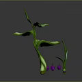 Unique Decorative Plant With Curved Green Stems Lush Leaves and Small Purple Fruits
