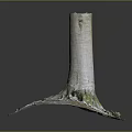 Natural Wooden Stump Design With Stone Base And Moss Covered Roots