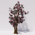 Two Ornamental Arbor Trees With Pink Blossoms Green Leaves And Brown Trunks
