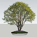 Circular Tree Pit with Lush Green Tree and Purple Flowers in Urban Plaza