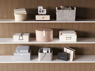 Various Storage Boxes And Containers On White Shelves With Wooden Wall For Home Organization 3d model