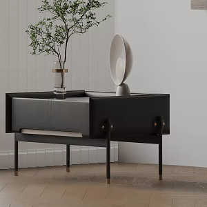 Side 3d model
