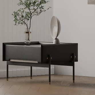 Side 3d model