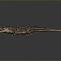 Crocodile 3D Model With Open Mouth Sharp Teeth And Realistic Scales On Gray Background