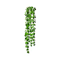 Lush Green Trailing Vine with Cascading Leaves for Home Decor