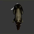 German Shepherd 3D Model Sitting with Brown Black Fur and Erect Ears on Gray Background
