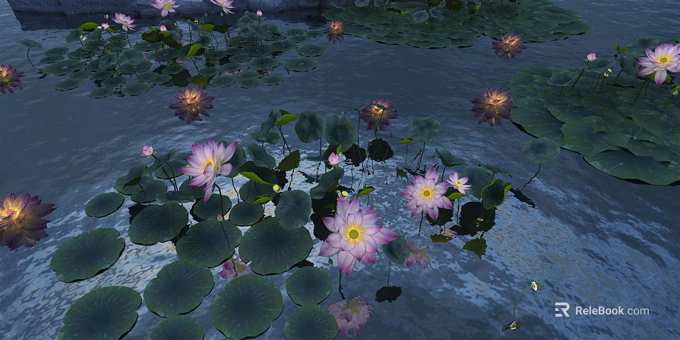 Beautiful Pond Landscape With Pink Water Lilies And Green Lotus Leaves On Calm Water Surface 3d model 
