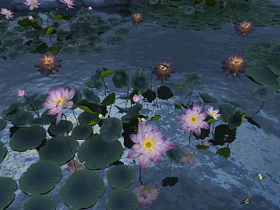 Beautiful Pond Landscape With Pink Water Lilies And Green Lotus Leaves On Calm Water Surface 3d model