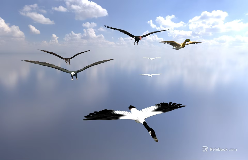 Flying Animals Soaring in the Sky with White Clouds Above Calm Water Surface 3d model 