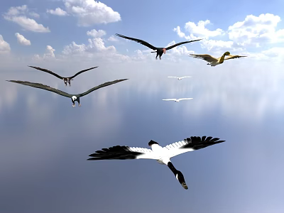 Flying Animals Soaring in the Sky with White Clouds Above Calm Water Surface 3d model Flying Animals Soaring in the Sky with White Clouds Above Calm Water Surface 3d model