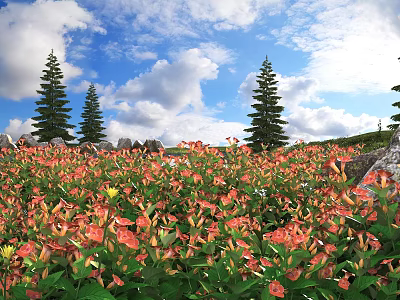 Scenic Flower Field with Red Orange Flowers Tall Pine Trees Blue Sky and Rocky Edges 3d model