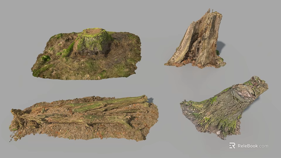 Natural Tree Stumps And Roots With Moss Covered Surfaces And Earthy Texture 3d model 