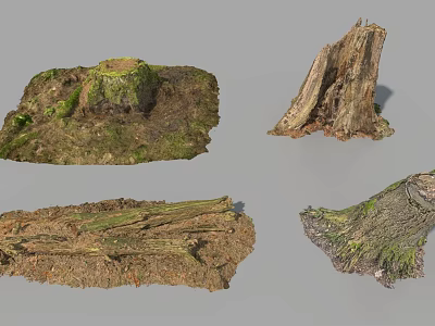 Natural Tree Stumps And Roots With Moss Covered Surfaces And Earthy Texture 3d model