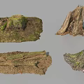 Natural Tree Stumps And Roots With Moss Covered Surfaces And Earthy Texture