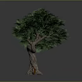 Curved Trunk Tree With Lush Green Leaves And Small Squirrel Next To It