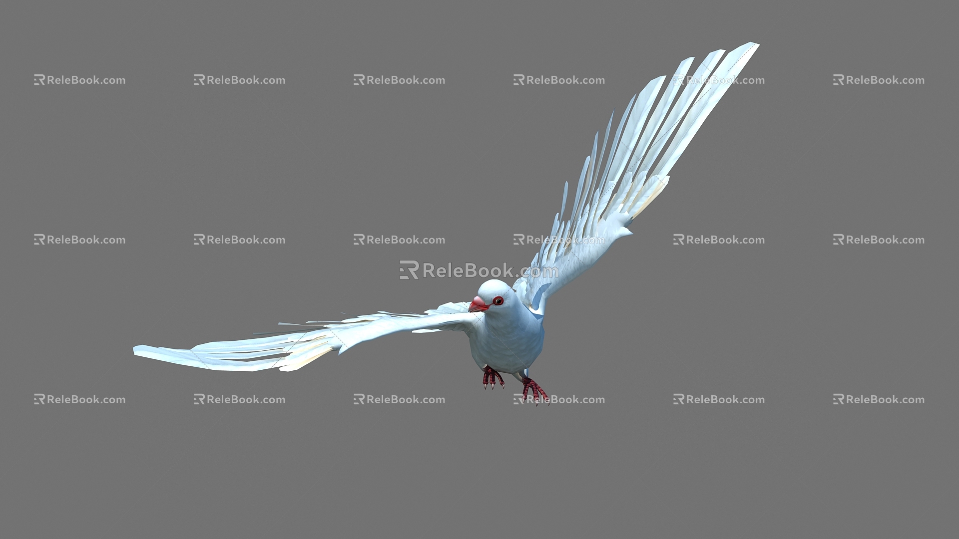 Modern pigeons can fly pigeons 3d model