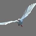 Modern pigeons can fly pigeons 3d model