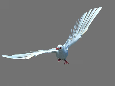 Flying White Bird with Spread Wings Red Beak Red Claws in Mid Air Gray Background 3d model