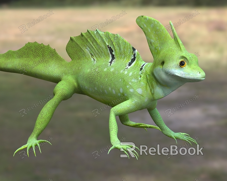 Double-crowned lizard, dorsal fin lizard model