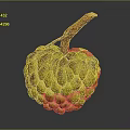 Fresh Yellow Custard Apple With Bumpy Texture And Brown Stem On Gray Background 3d model