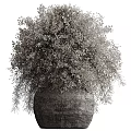 Rustic Textured Ceramic Vase Holding Lush Green Foliage and Hanging Branches